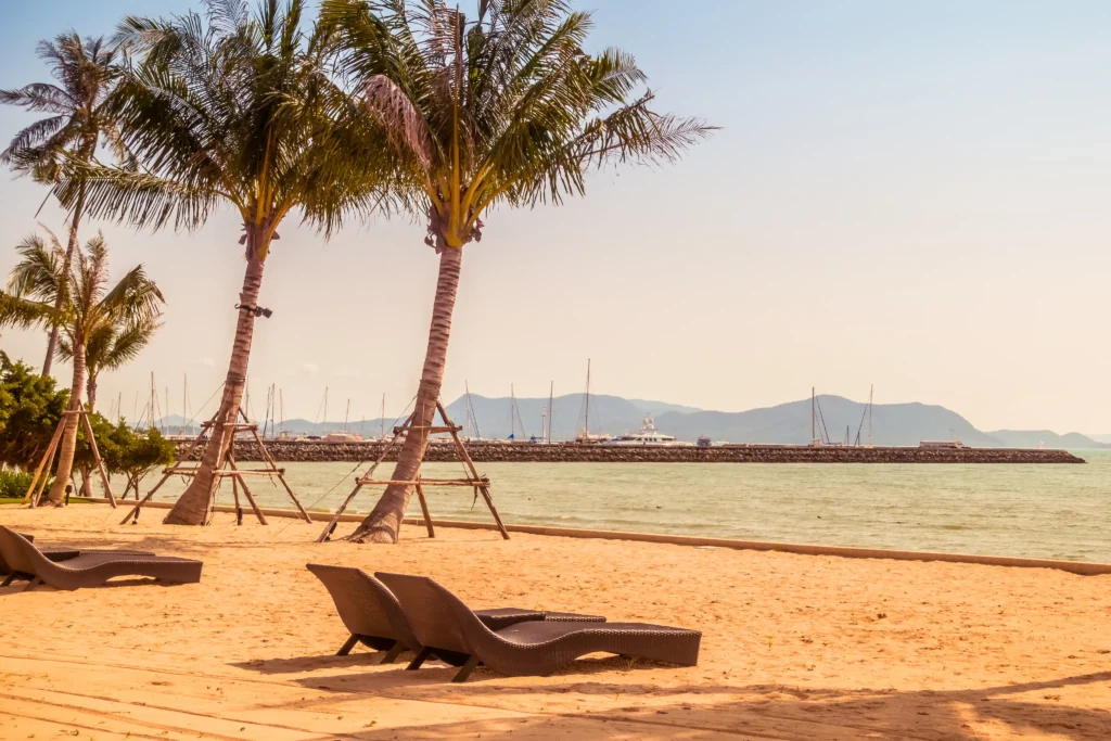 a beach in Dubai with palm trees